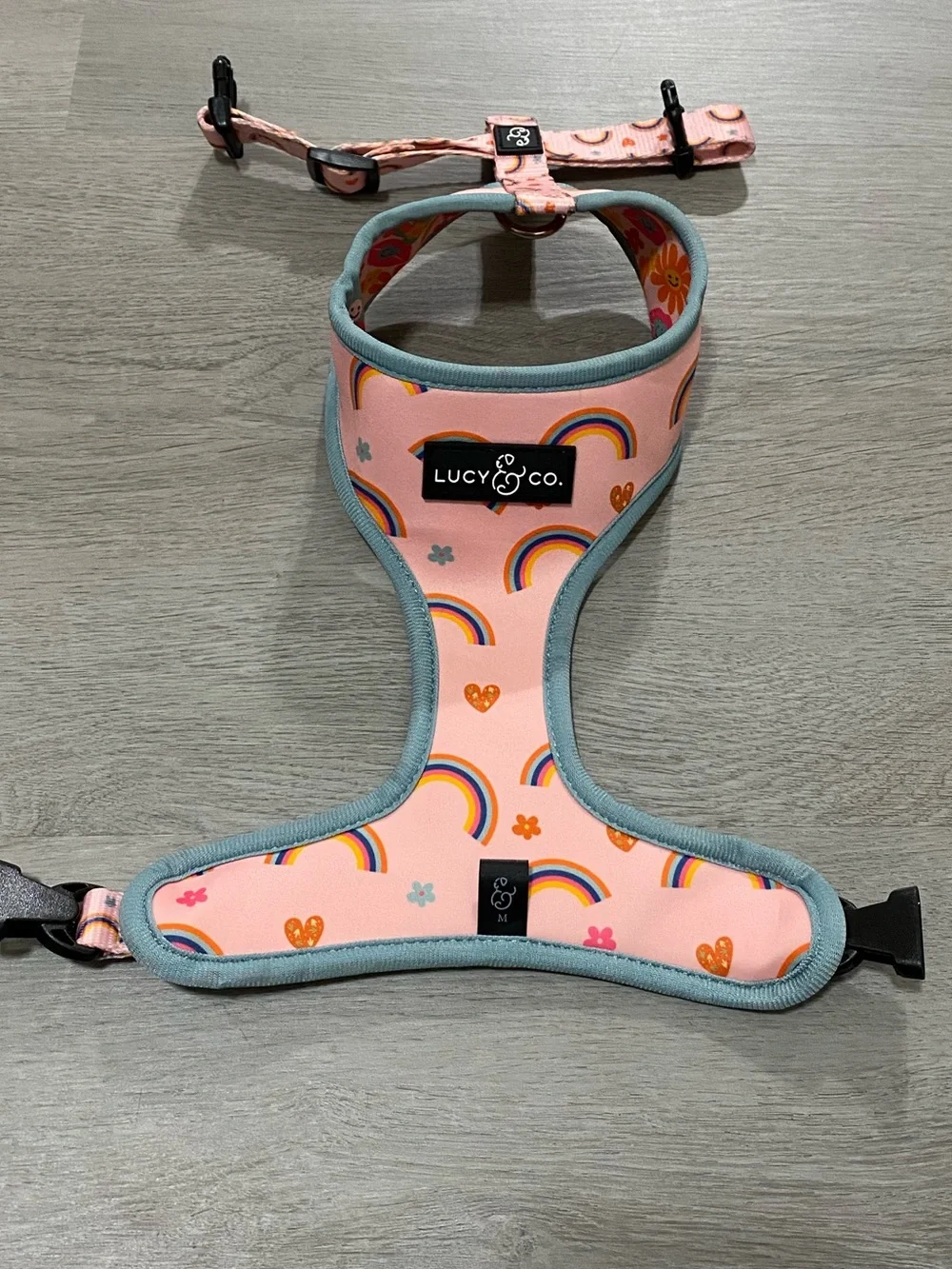 Lucy & Co gently used